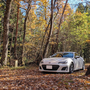 BRZ ZC6