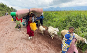 Congolese civilians and their animals flee near the Congolese border with Rwanda after fightings broke out in Kibumba, outside Goma in the North Kivu province of the Democratic Republic of Congo on May 24, 2022. 