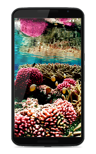 Coral Reef Live Wallpaper