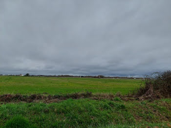 terrain à Beauzelle (31)