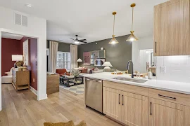 Apartment interior showcasing a stylish kitchen and open living space with contemporary furnishings and decor.