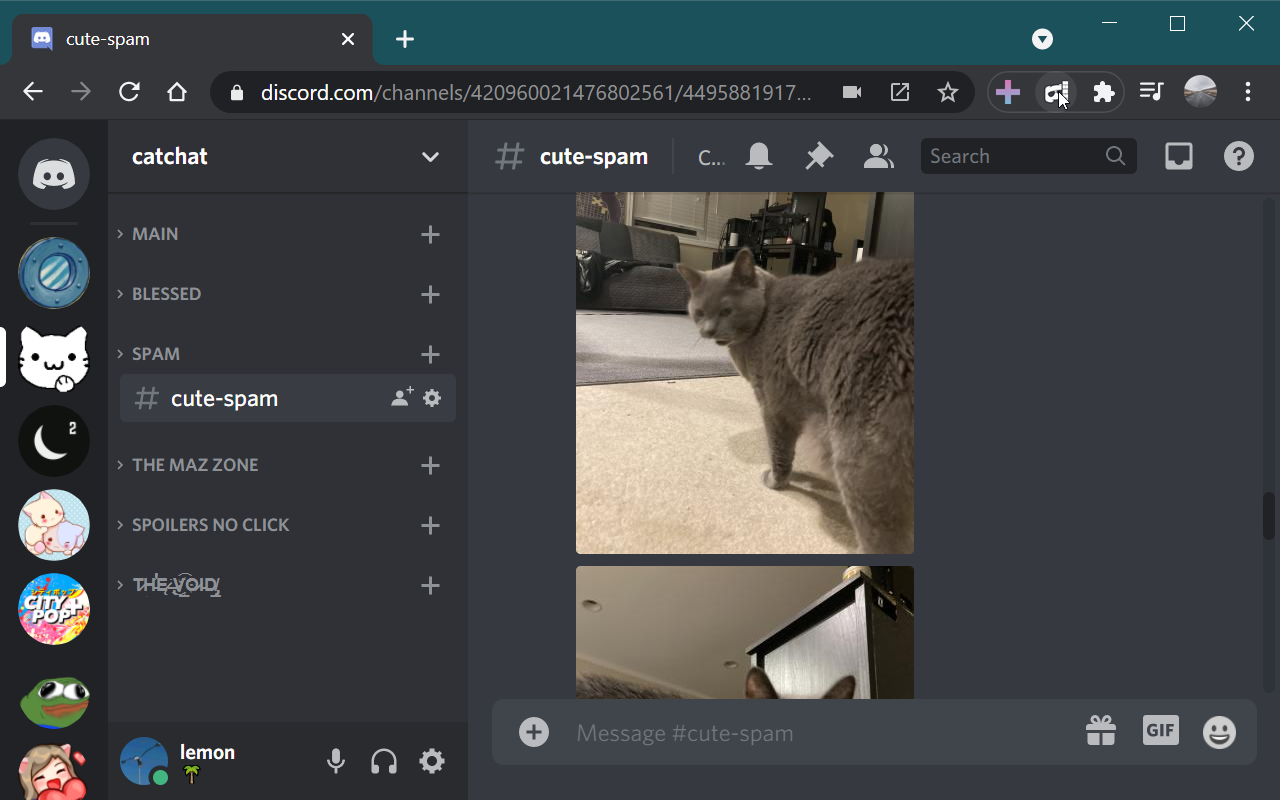 Hide Discord Panels Preview image 4