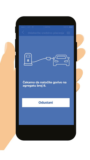 Screenshot INA PAY