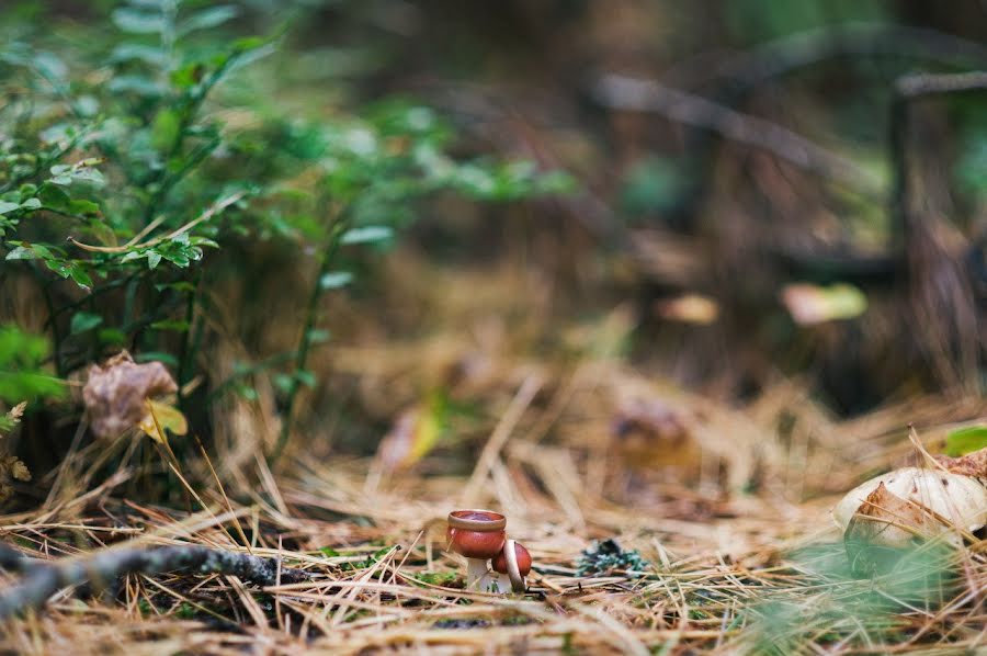 Vestuvių fotografas Aleksey Krupilov (fantomasster). Nuotrauka 2018 lapkričio 8