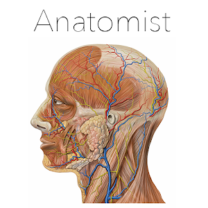 Anatomist