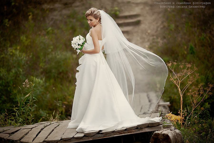 Wedding photographer Oksana Cekhmister (xsanna). Photo of 11 April 2013