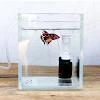 miniatures image - 0