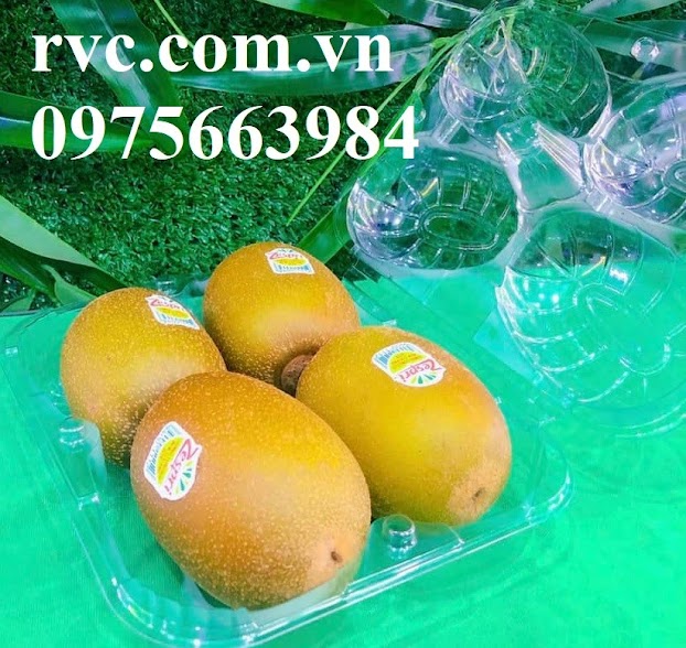 Nơi bán hộp nhựa đựng 4 trái kiwi giá rẻ, chất lượng tại Sài Gòn.  585VxxqoRjlNkY4ERuCLwc93WDaIoRtVNSZ3P-Ybxst7Qb02O7y4bPEKnfI8h5P_Qp-EAfXY0deLa0aWCrZncbLvltqgGbSU4sq4FBv-dS0=w622