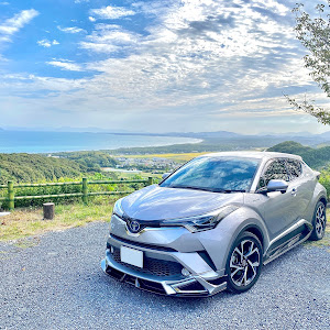 C-HR ZYX10