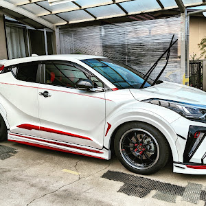 C-HR NGX10