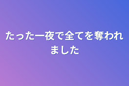 たった一夜で全てを奪われました