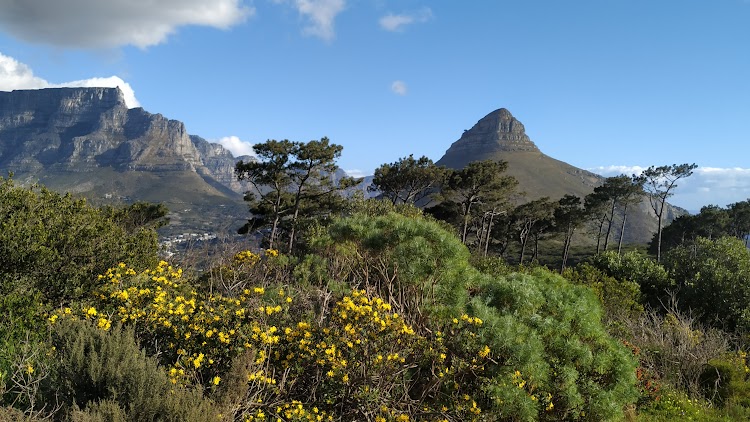 CIUDAD DEL CABO: TABLE MOUNTAIN, WATERFRONT Y SIGNAL HILL - SUDÁFRICA, DOS SEMANAS POR EL KRUGER Y LA COSTA SUR (16)