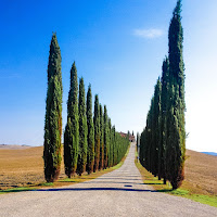 Tuscany di 