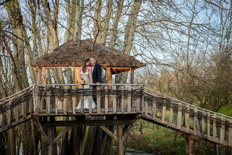 Fotógrafo de casamento Goran Jovicic (onestudio). Foto de 9 de julho 2015