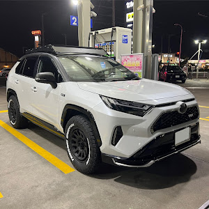 RAV4 AXAP54