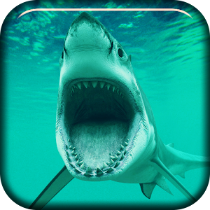 Tiger Sharks Live Wallpaper.apk 1.0