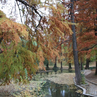 Laghetto d'autunno di 