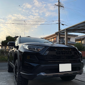 RAV4 MXAA54