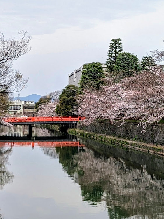 の投稿画像7枚目