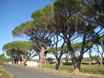 terrain à Sallèles-d'Aude (11)