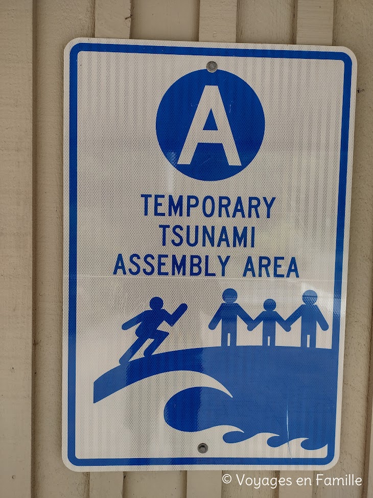 Tsunami warning