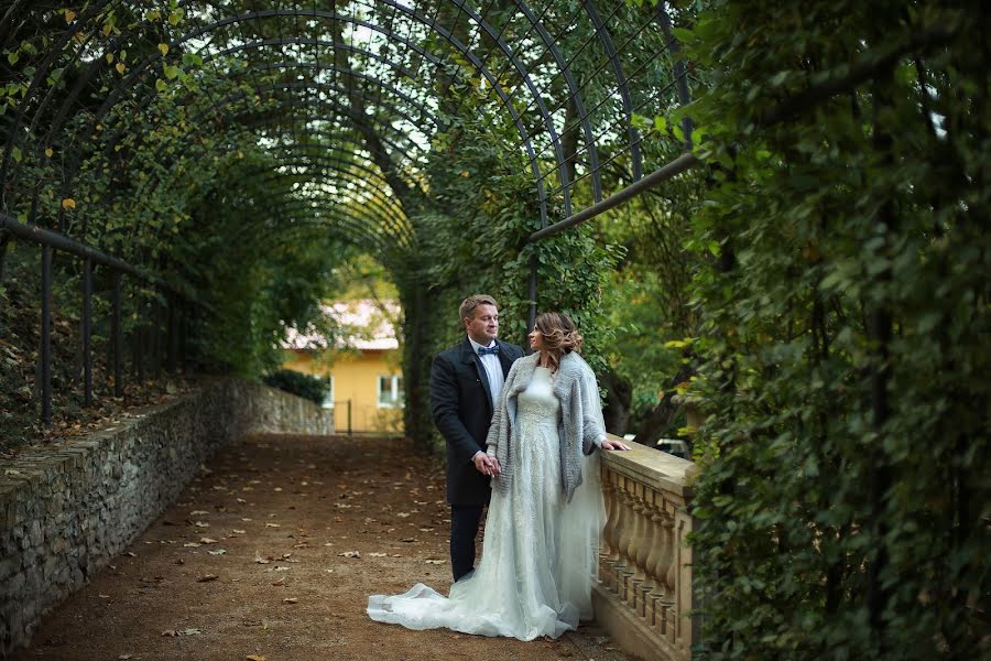 Photographe de mariage Evgeniya Novickaya (klio24). Photo du 27 février 2017