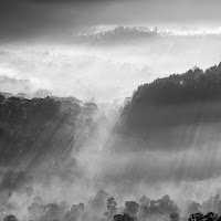 Nillambe, Sri Lanka di 