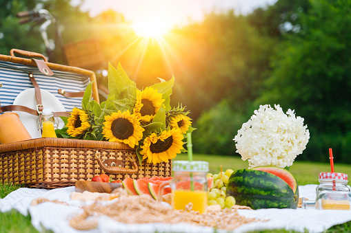 Cozy Picnic