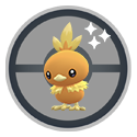 Torchic — błyszczenie włączone