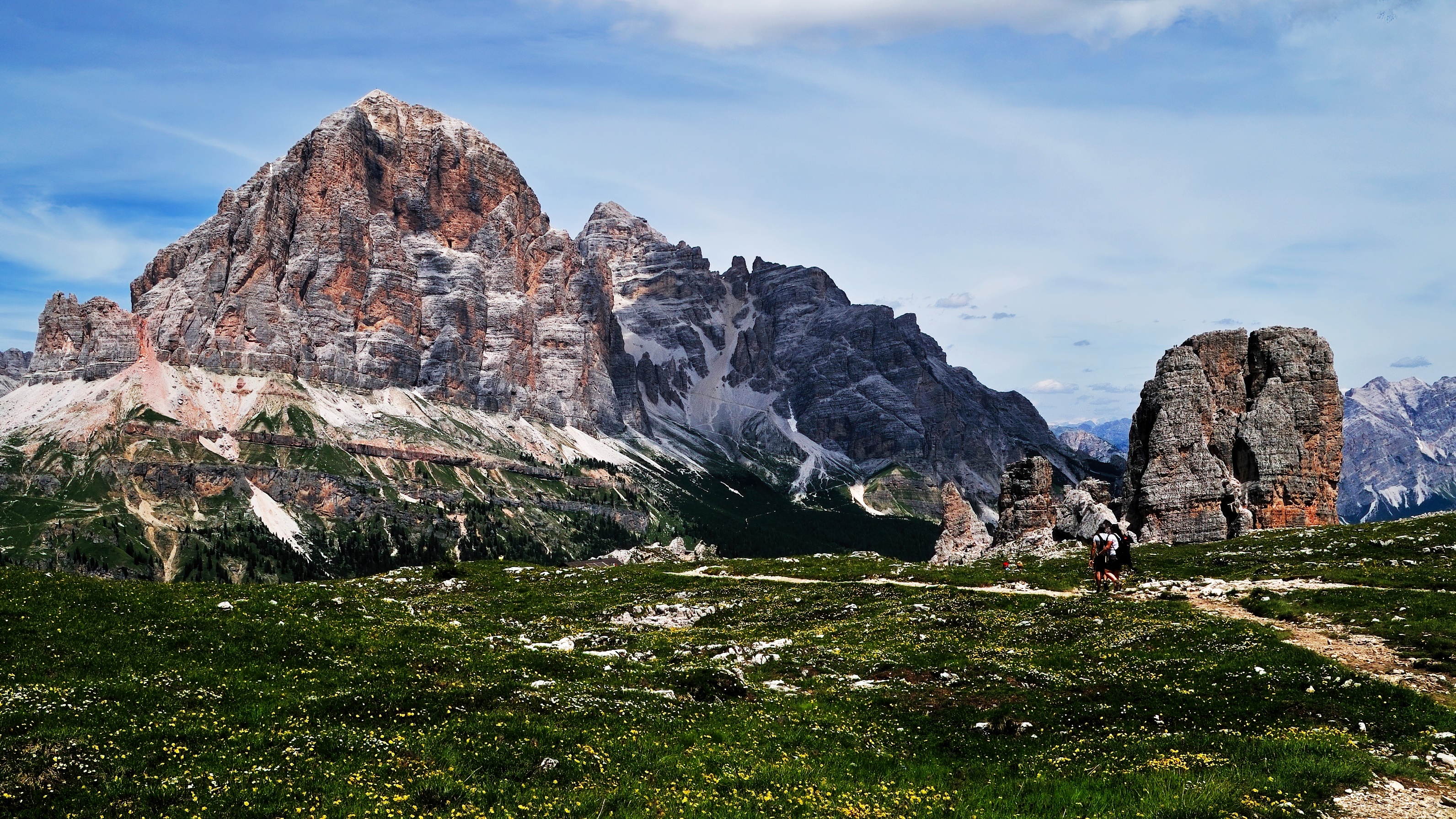 Giganti fra i fiori di Seidodici