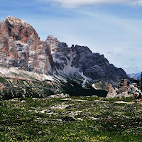 Giganti fra i fiori di 