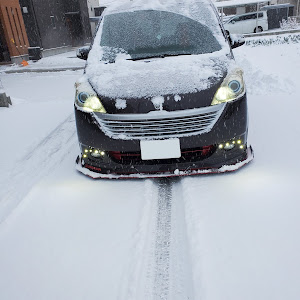 ステップワゴン RG1