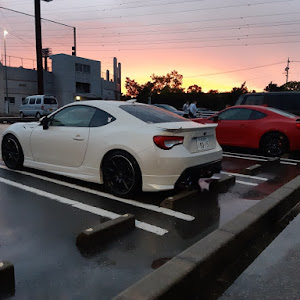 86 ZN6