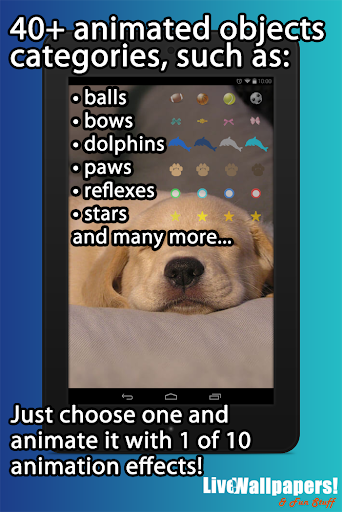 Puppies Live Wallpaper