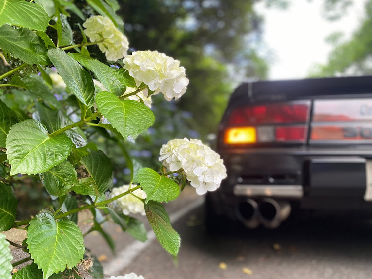 フェアレディZの峠・紫陽花・ドライブ・RB26・梅雨の晴れ間に関するカスタム事例の投稿画像5枚目