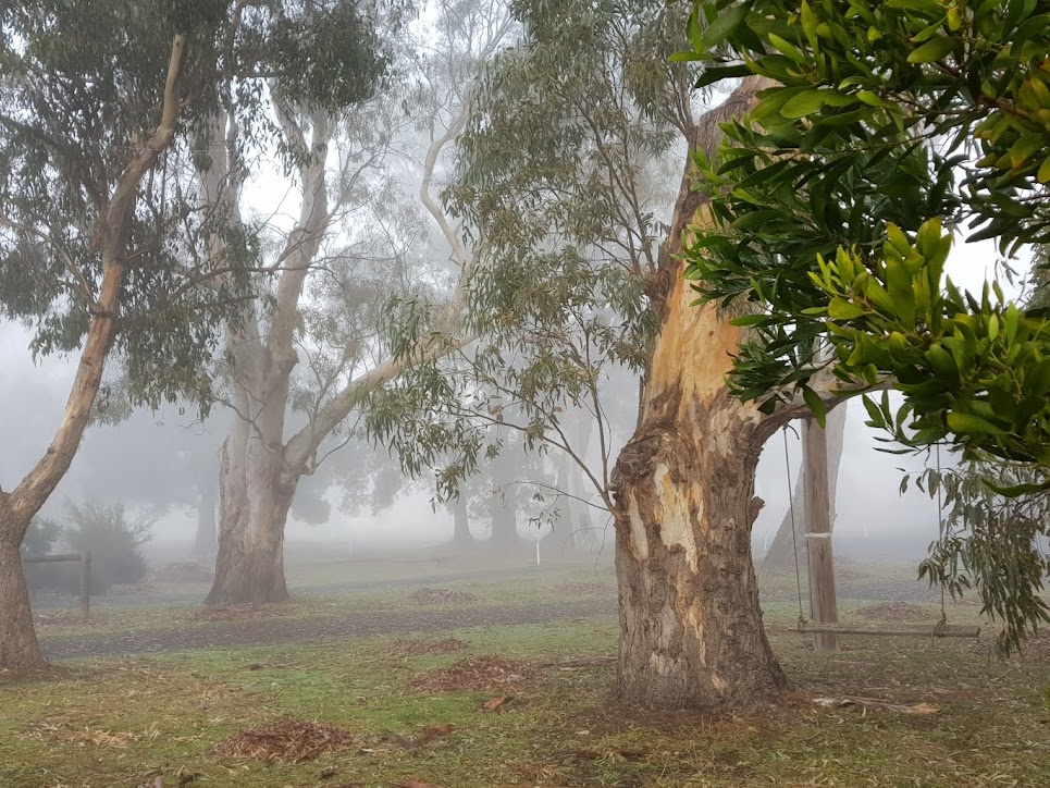 Kookaburra Motor Lodge