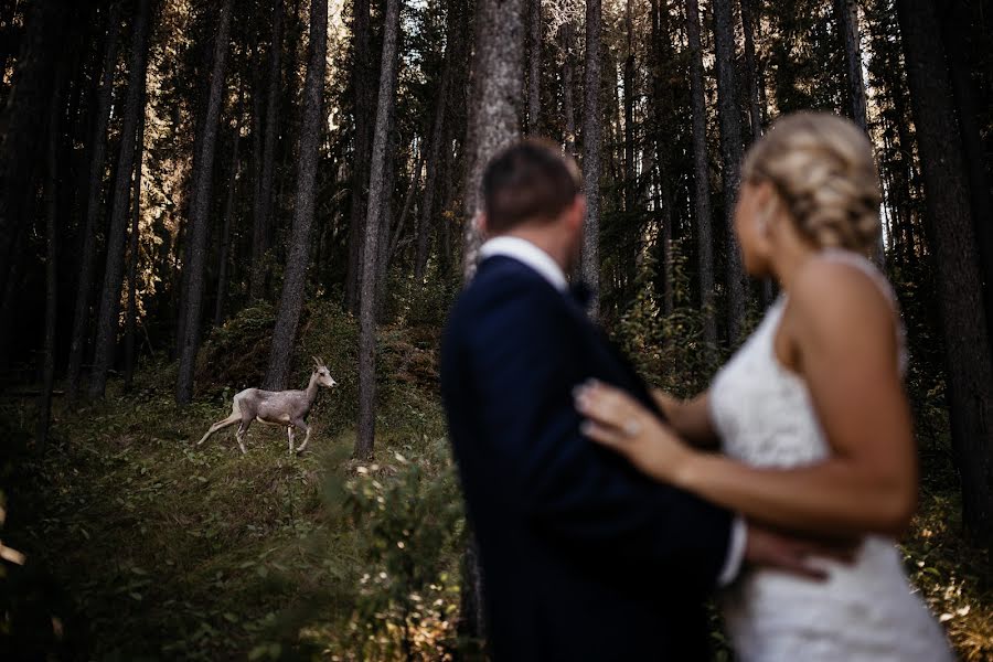 Fotograf ślubny Todd Kwiczak (tkshotz). Zdjęcie z 27 lutego