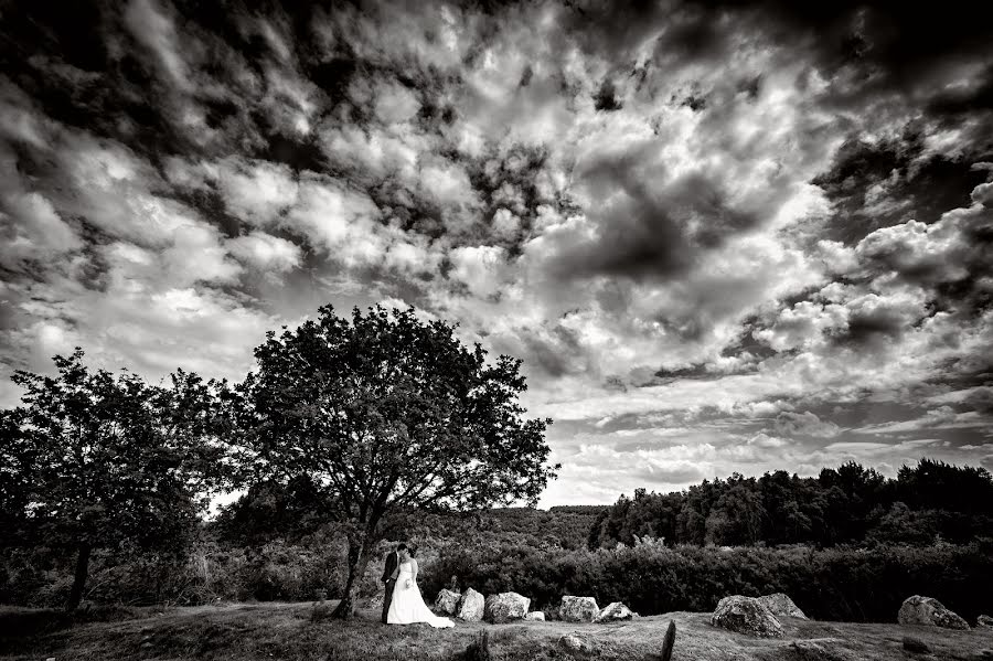 Fotograf ślubny Yann Faucher (yannfaucher). Zdjęcie z 26 maja 2016