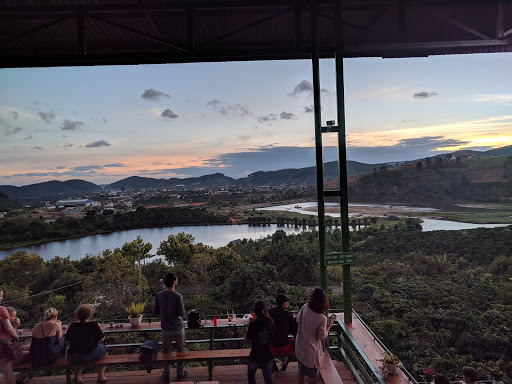 coffee farm 3