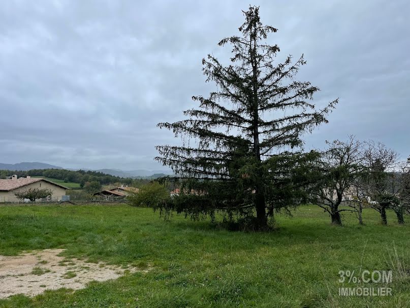 Vente terrain  1379 m² à Vernoux-en-Vivarais (07240), 104 500 €