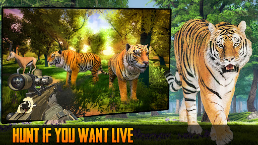 Screenshot Animal Hunter 3D Shooter Games