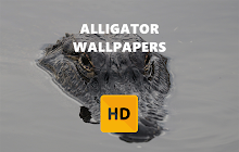 Alligator Wallpaper HD New Tab Theme small promo image