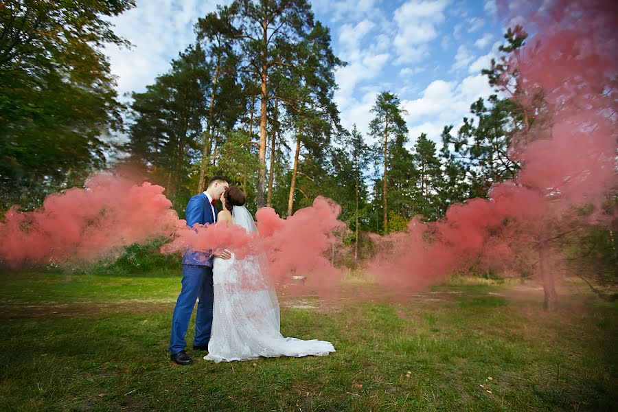 Wedding photographer Elena Stefankova (estefankova). Photo of 16 March 2017