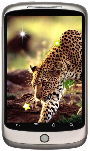 Jaguar Best live wallpaper