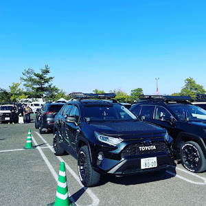 RAV4 AXAH54