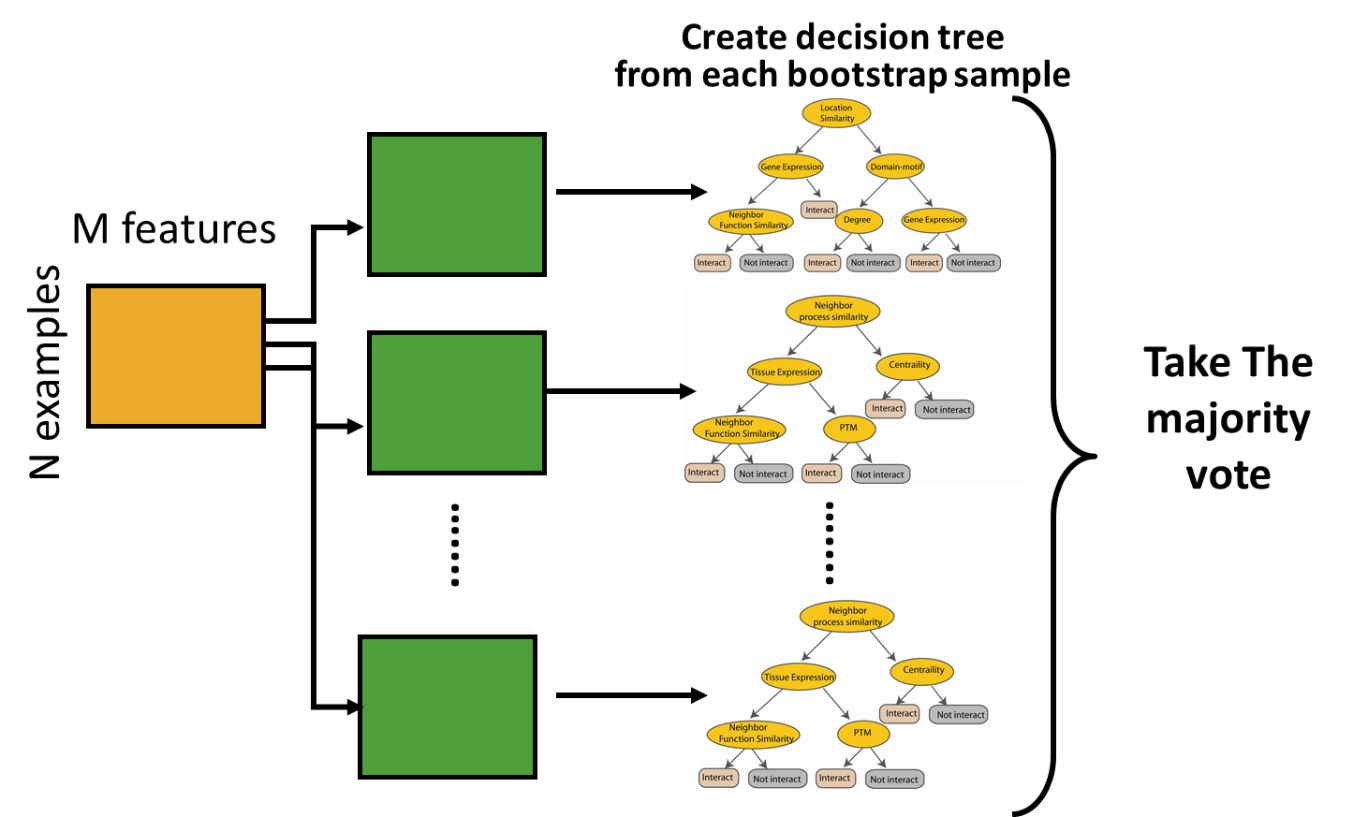 Случайный лес регрессия. Рандом Форест. Алгоритм Random Forest. Random Forest classifier. Случайный лес (Random Forests).