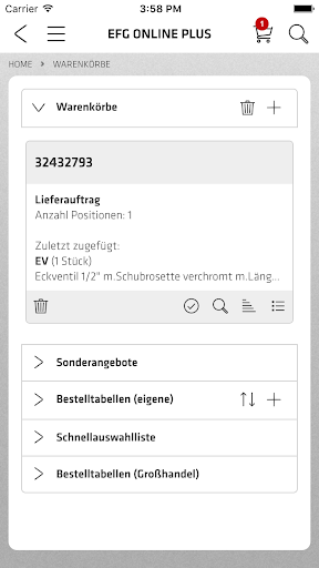 Screenshot EFG