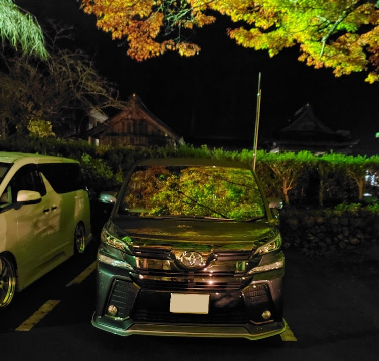 ヴェルファイアの紅葉🍁・ご近所さん・小國神社・キリ番・撮ってもらった🎵に関するカスタム事例の投稿画像12枚目