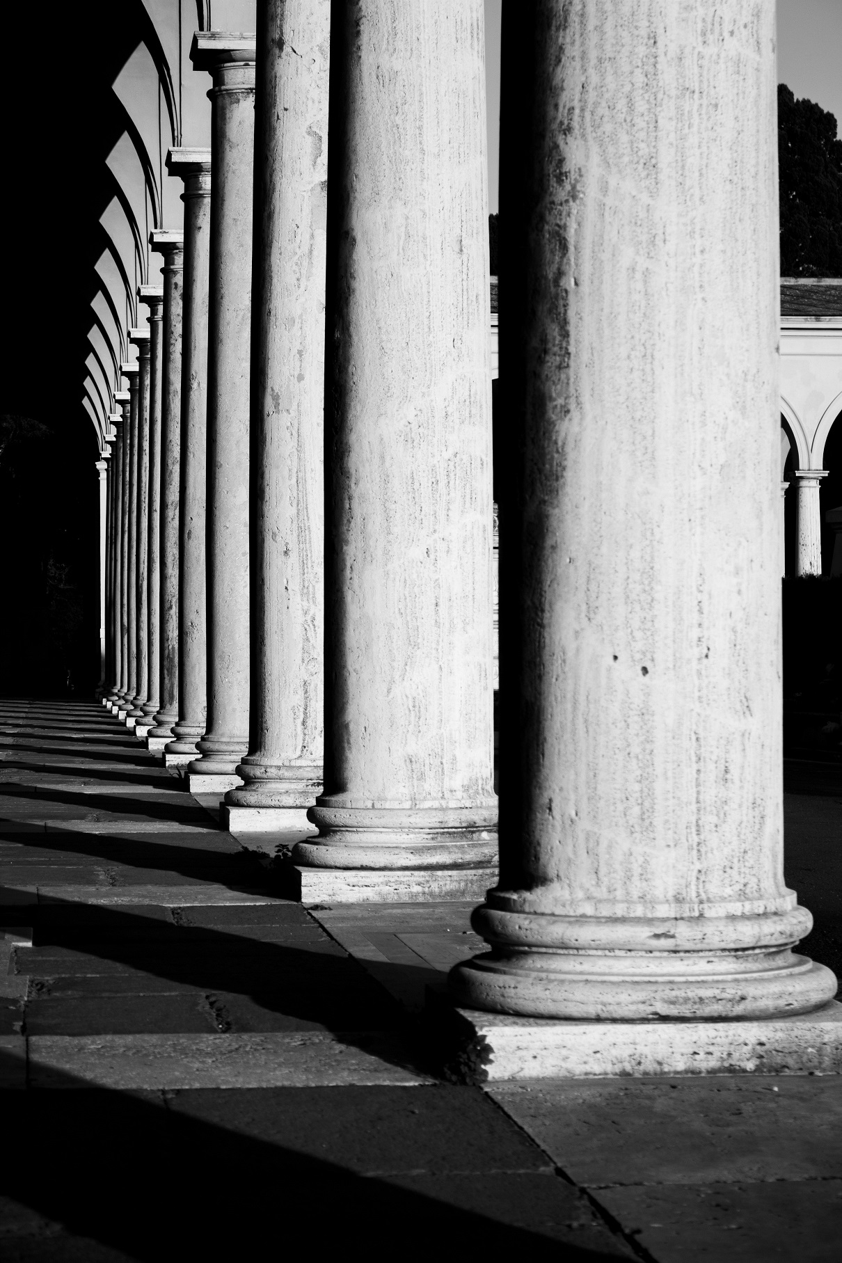 Ritmo di Colonne di fabiodalessio88