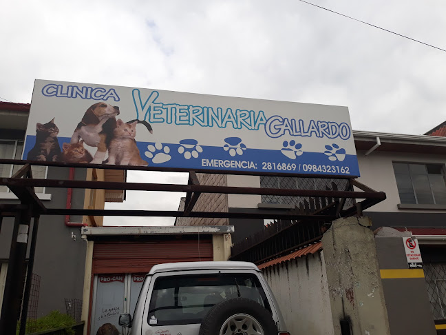 Comentarios y opiniones de Clínica Veterinaria Gallardo